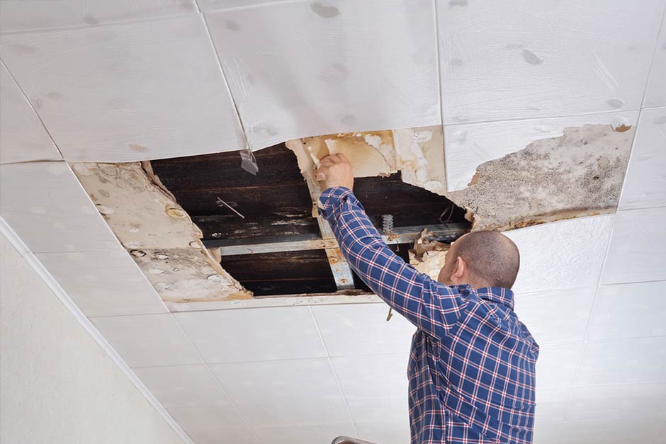 man in plaid shirt standing on ladder with arms outstretched towards damaged roof