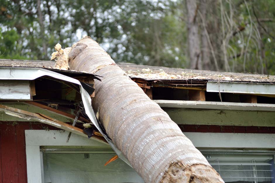 branch falling on a roof