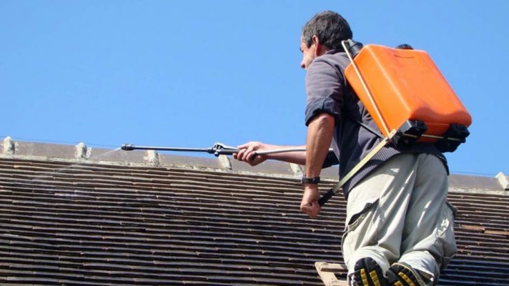 What Roof Shingles Should You Choose When It Comes To Your Roof?